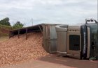 Carreta carregada com cavaco tomba na BR-163 no  trevo de Marechal Cândido Rondon