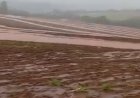 Volumes expressivos de chuva são registrados em municípios do Oeste do Paraná; em Palotina 140mm em menos de uma hora