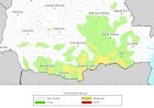 Terça-feira será de frio intenso e possibilidade de geada em várias regiões do Paraná