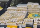 Em menos de 24 horas, PRF realiza as duas maiores apreensões de remédios para emagrecimento em rodovias federais