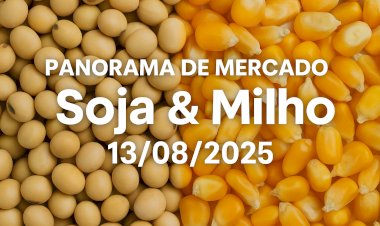 PANORAMA DO MERCADO DE SOJA E MILHO — 13/08/2025