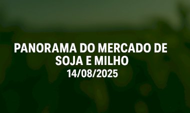 PANORAMA DO MERCADO DE SOJA E MILHO 14/08/2025