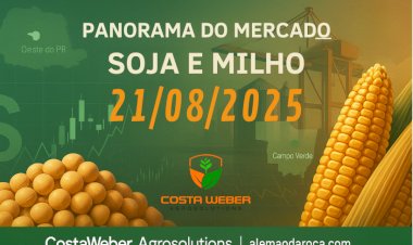 Panorama do Mercado de Soja e Milho em 21/08/2025