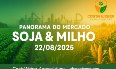 Panorama do Mercado de Soja e Milho – 22/08/2025