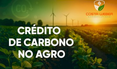 Crédito de Carbono no Agro: regras, oportunidades e como participar em 2025
