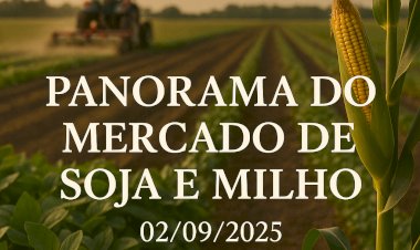 Panorama de Mercado da Soja e do Milho – 02/09/2025