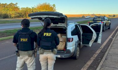 PRF apreende mais de 320 quilos de maconha em veículo abandonado na BR-163,