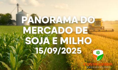 Panorama do Mercado de Soja e Milho  15/09/2025
