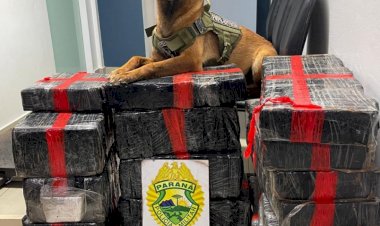 Traficante é preso com  193 kg de maconha  após perseguição entre Marechal Rondon e Toledo