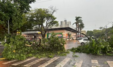 Temporal atinge Guaíra e deixa boa parte da cidade sem luz