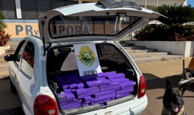 Concluída a ação da Polícia Rodoviária Estadual,  com  quase 210 kg de drogas e arsenal de armas  apreendidos na PRC-272 (video)
