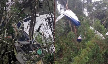 Morre Walter Siegel em acidente de avião no Paraná