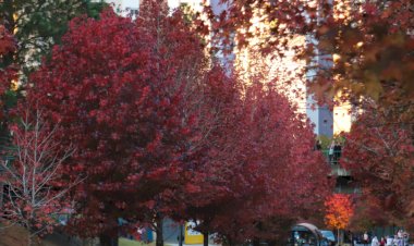 Outono começa com previsão de mais chuva e temperaturas acima da média no Paraná