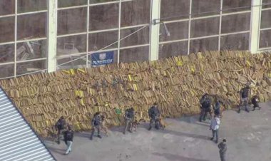 PM apreende quase 50 toneladas de maconha em operação histórica no Rio de Janeiro