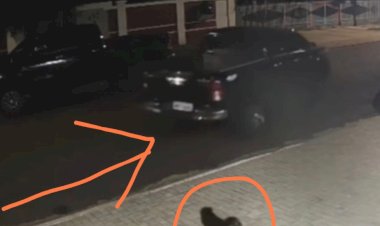 Polícia mobiliza forças da fronteira após furto de caminhonete em Nova Santa Rosa