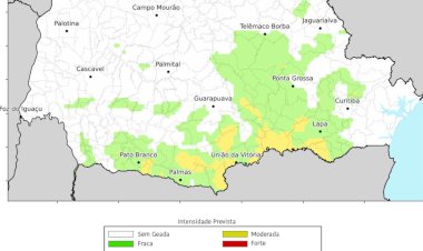 Terça-feira será de frio intenso e possibilidade de geada em várias regiões do Paraná