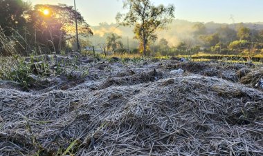 Paraná registra mais uma madrugada gelada com temperaturas abaixo de 5 °C, com geada fraca em Marechal Rondon