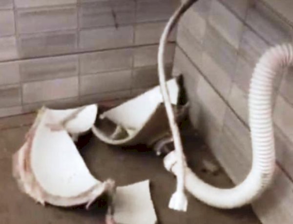 Vândalos depredam banheiros de centro de recreação e furtam vaso sanitário em Terra Roxa