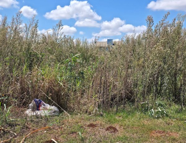Município reforça responsabilidade dos proprietários na manutenção de terrenos urbanos em Nova Santa Rosa