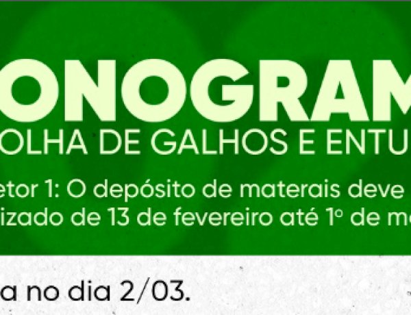 Secretaria de Agricultura divulga cronograma para depósito e recolhimento de galhos no setor 1