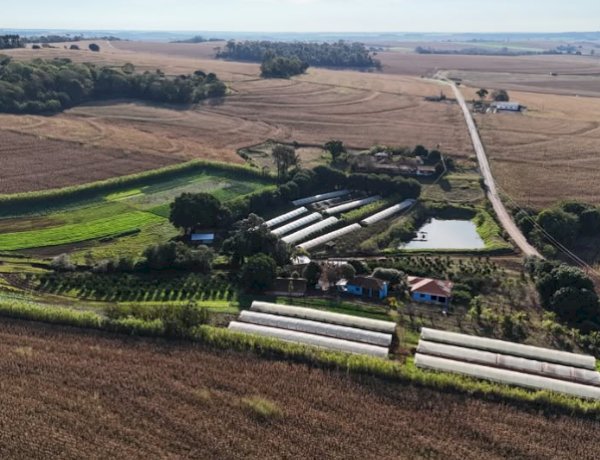 Inscrições abertas para o Prêmio Produtor Destaque 2026 em Marechal Cândido Rondon