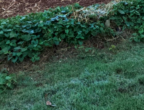 Meteorologista desmente fake news sobre inverno rigoroso no Sul do Brasil em 2026