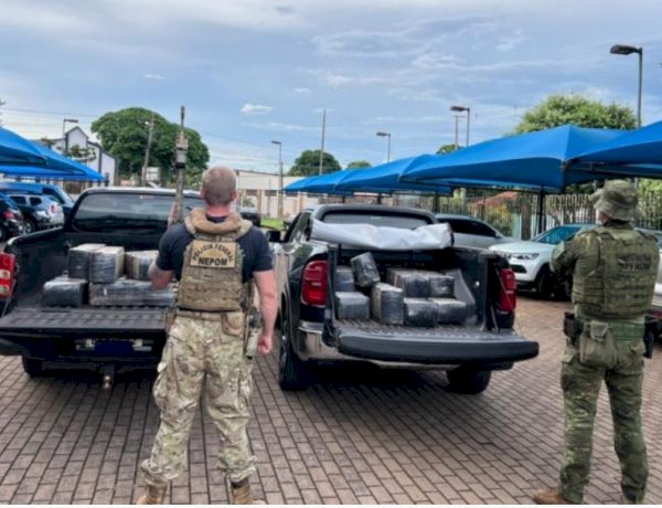 Ação integrada apreende 262 kg de maconha  na cidade de Mercedes