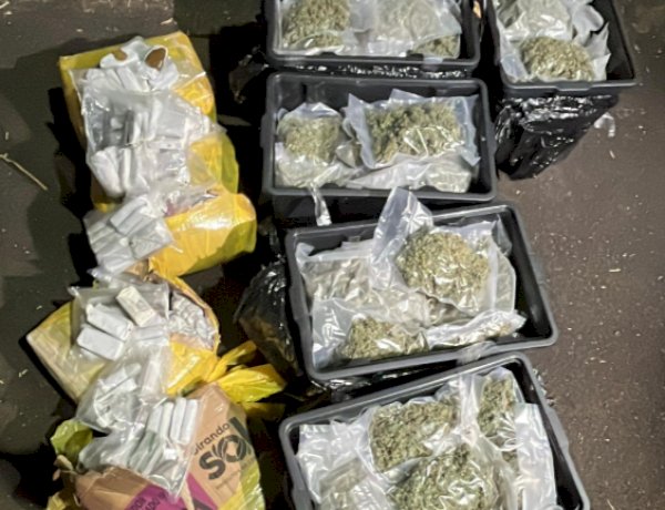 Cães farejadores da PRF ajudam a apreender mais de 80 kg de drogas no Oeste do Paraná