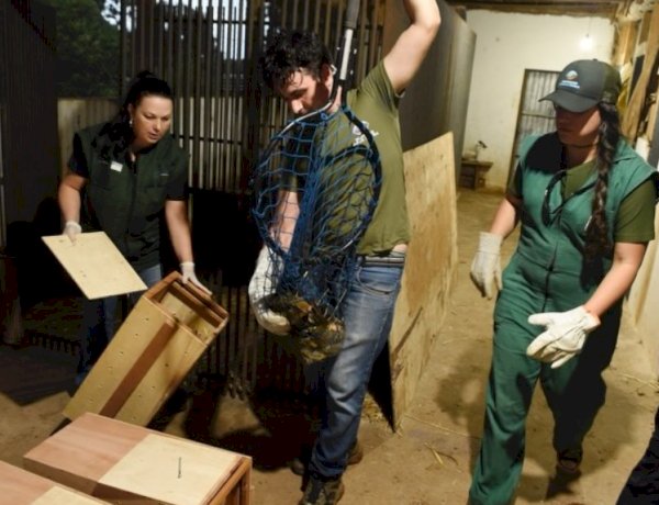 Criadouro irregular com animais silvestres é multado em R$ 67 mil no Paraná