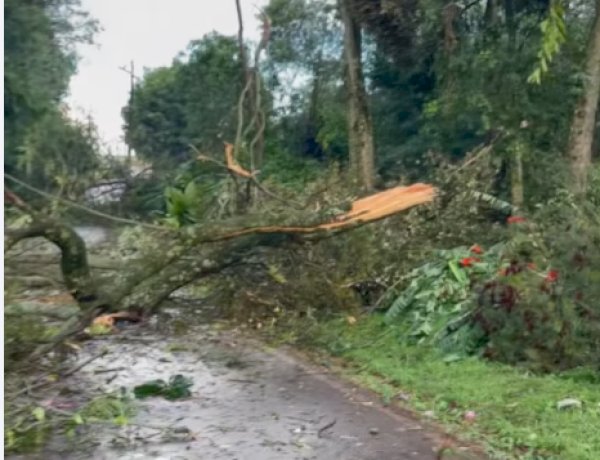 Chuvas com vento causam estragos pontuais na região de Marechal Rondon