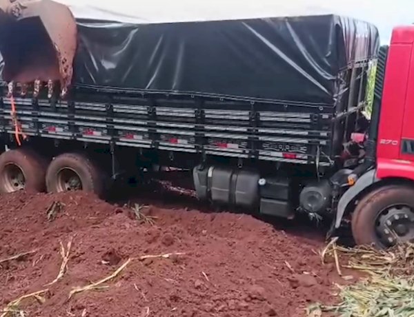 Caminhão com 25 mil pacotes de cigarros contrabandeados é apreendido na BR-163 em  Dois Irmãos