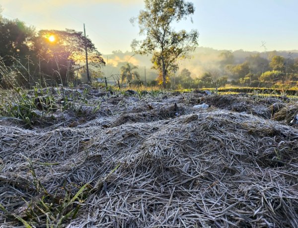 Paraná registra mais uma madrugada gelada com temperaturas abaixo de 5 °C, com geada fraca em Marechal Rondon