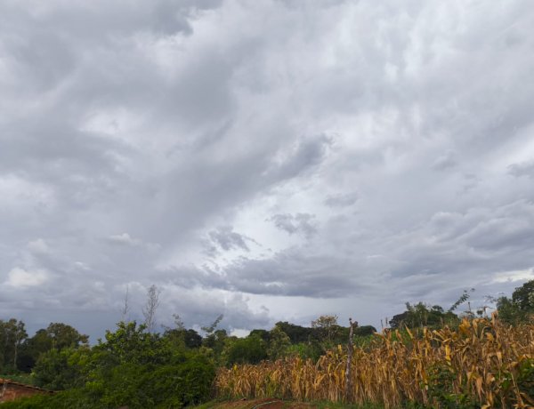 Confira  os volumes de Chuva  registrados de ontem( 25) para hoje (26) em localidades da região de Marechal Rondon e Toledo