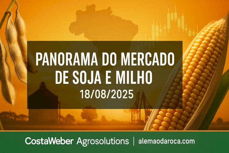 PANORAMA DO MERCADO DE SOJA E MILHO 18/08/2025