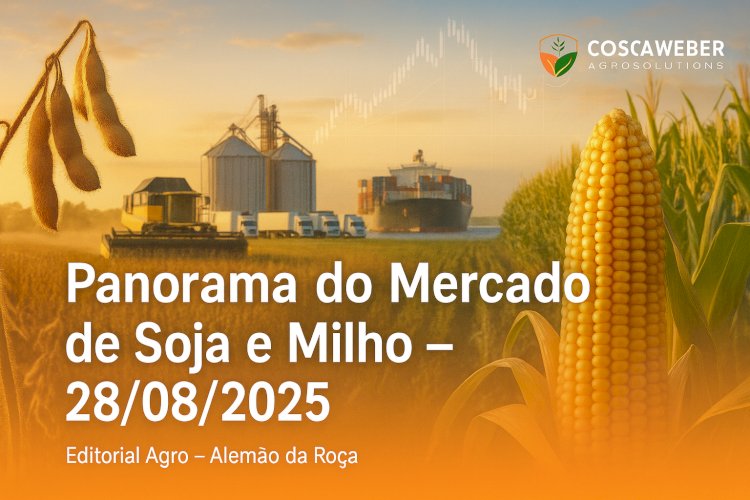 Panorama do Mercado de Soja e Milho 28/08/2025