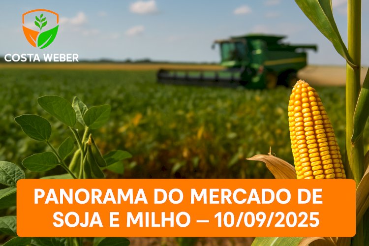 Panorama do Mercado de Soja e Milho em10/09/2025