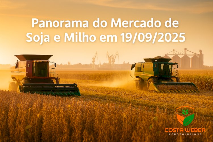 Panorama do Mercado de Soja e Milho em 19/09/2025