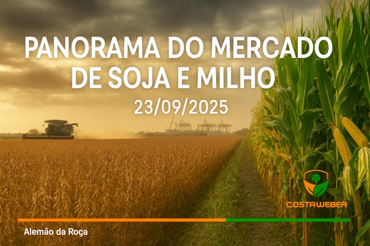 PANORAMA DO MERCADO DE SOJA E MILHO EM 23/09/2025