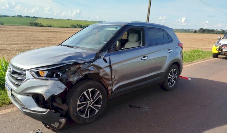 Colisão na PR-182 termina com apreensão de maconha e fuga de condutor em Francisco Alves