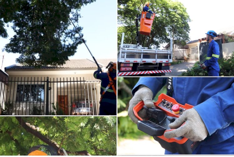 Empresa terceirizada inicia serviços de poda de árvores em Marechal Cândido Rondon