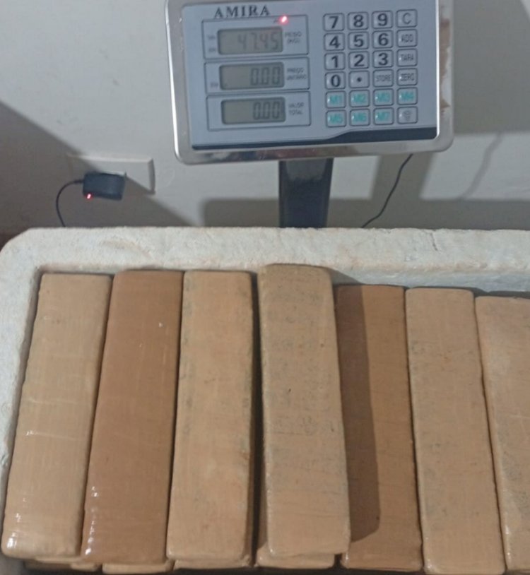 Polícia apreende 47,4 quilos de maconha em quitinete de Entre Rios do Oeste