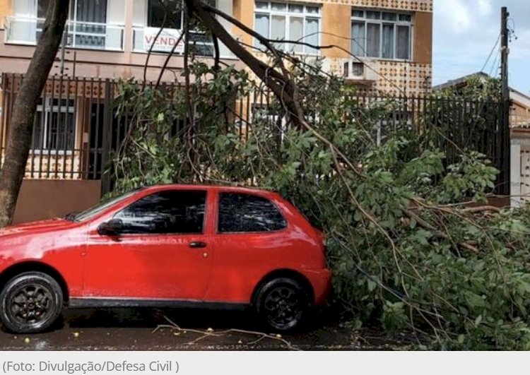 Chuva isolada com ventos fortes provoca queda de galhos em Foz do Iguaçu