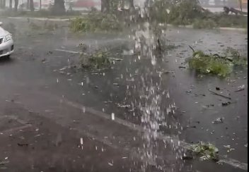 Chuva isolada com ventos fortes provoca queda de galhos em Foz do Iguaçu