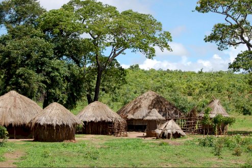 Idosa indígena é agredida e roubada na Aldeia Tekoha Guarani; suspeito é detido