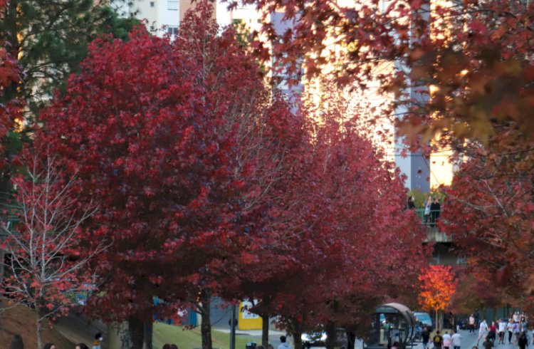 Outono começa com previsão de mais chuva e temperaturas acima da média no Paraná