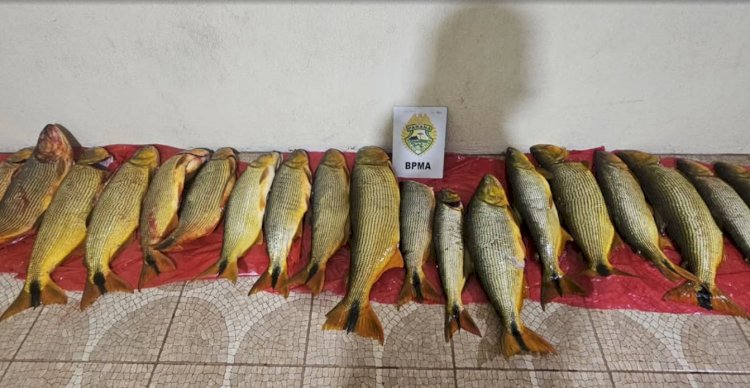 Neste domingo dia 29 a polícia Ambiental prendeu seis pessoas por pesca ilegal e porte de arma no Paraná