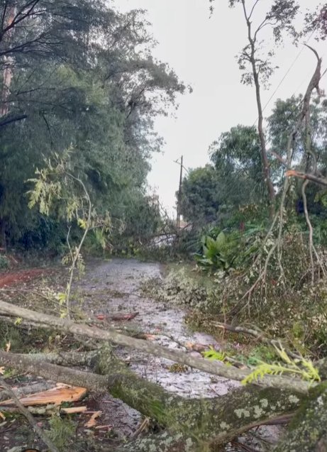 Chuvas com vento causam estragos pontuais na região de Marechal Rondon