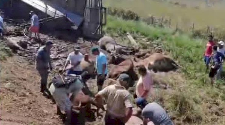 Acidentes com caminhões no Paraguai chamam atenção; caso com carga de gado gera caos e alerta sanitário