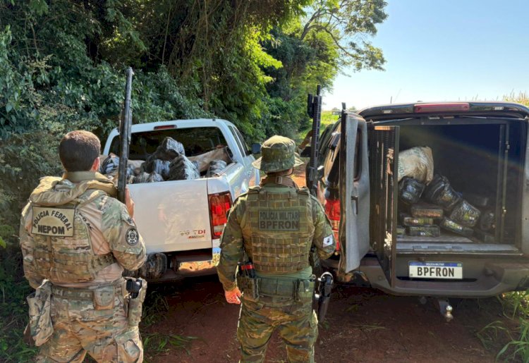 BPFRON e Polícia Federal apreendem quase 400 quilos de maconha em área rural de Guaíra