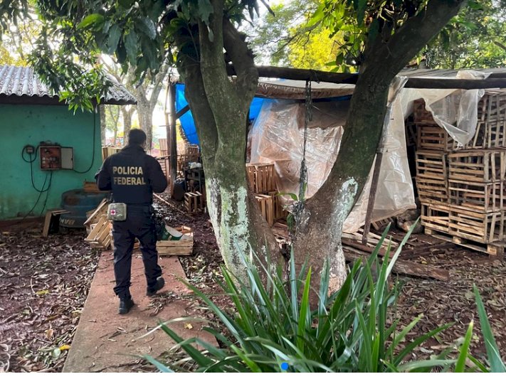 Polícia Federal resgata famílias estrangeiras de situação análoga à escravidão no oeste do Paraná